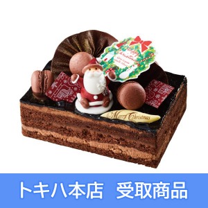 �y25�z �s�啪�E�c����/����䂫���t �V���R���E�m�G��